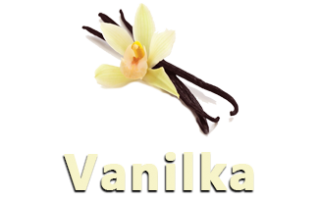 Vanilka